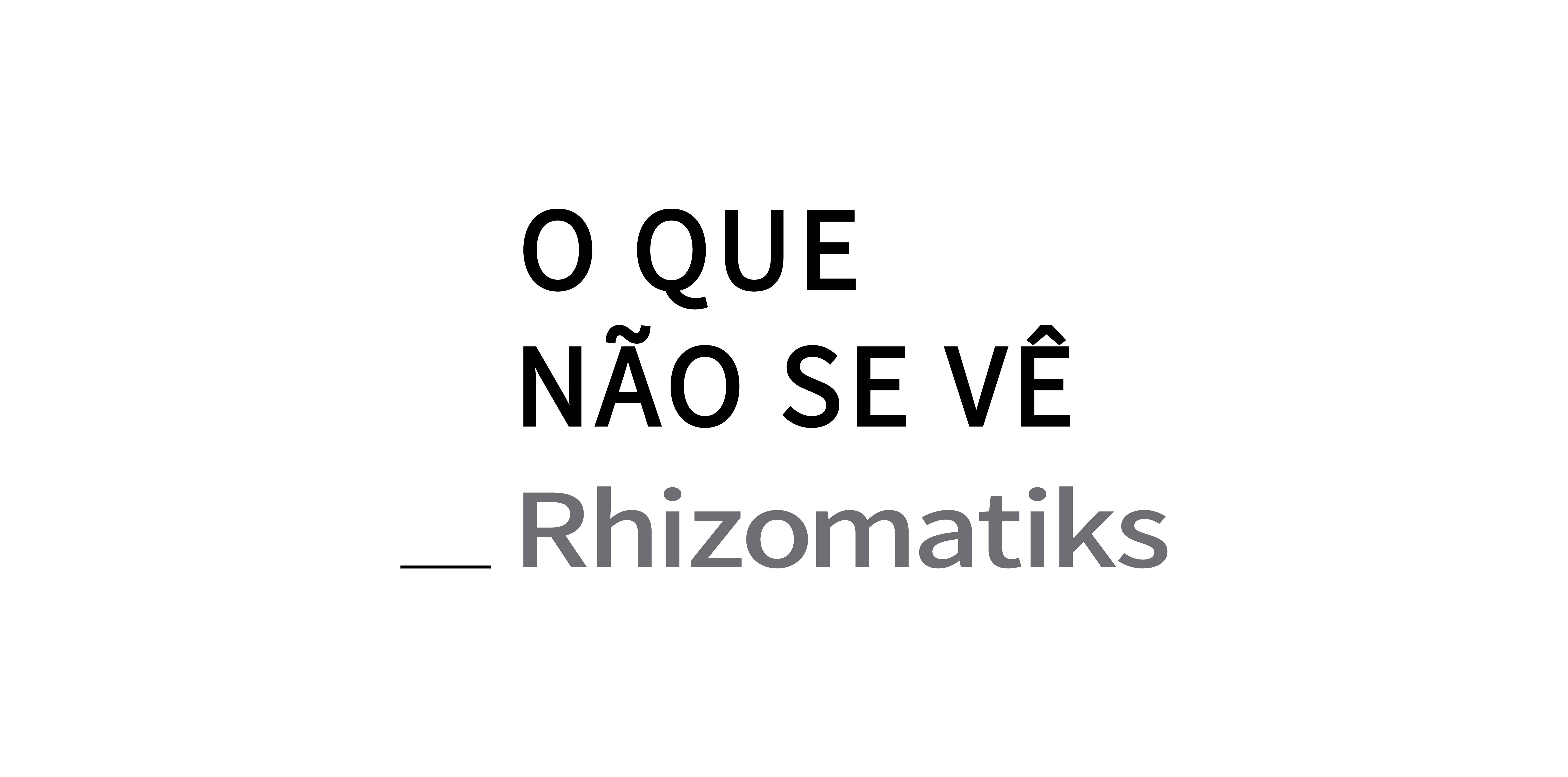 Sobre fundo branco, em preto, ocupando duas linhas, o texto: “O Que Não Se Vê”. Abaixo, em cinza: “Rhizomatiks”. Do lado esquerdo da letra “R” há um underline, também cinza.